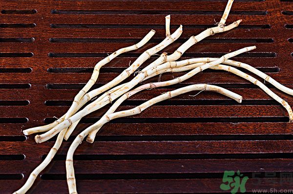 魚腥草能泡水喝嗎？魚腥草泡水喝有什么功效？