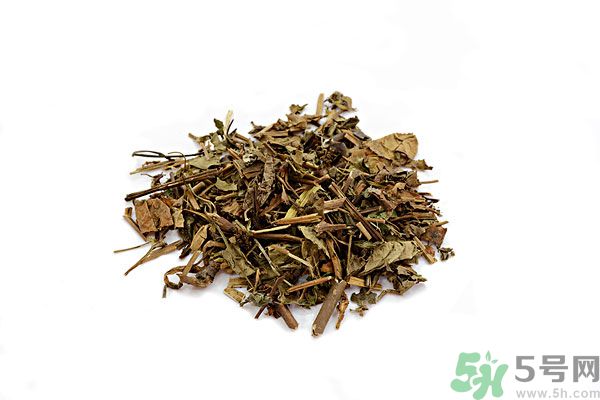 魚腥草能泡水喝嗎？魚腥草泡水喝有什么功效？