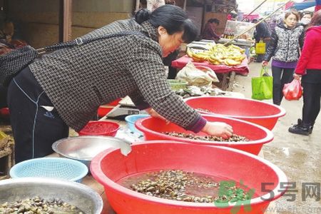 怎么挑選螺螄？螺螄怎么清洗？
