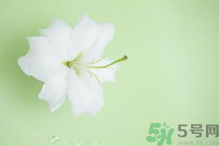 春季咳嗽怎么辦？春季咳嗽吃什么好？
