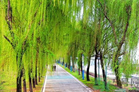 春天適合什么運(yùn)動(dòng)？春天做什么運(yùn)動(dòng)好？