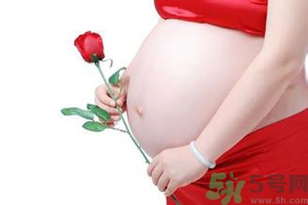 孕婦可以吃枸杞嗎？孕婦吃枸杞好嗎？