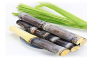 清明節(jié)可以吃甘蔗嗎？清明節(jié)不能吃哪些食物？