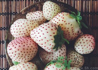 菠蘿莓好吃嗎？菠蘿莓好不好吃？