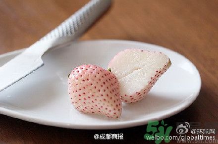 菠蘿莓好吃嗎？菠蘿莓好不好吃？