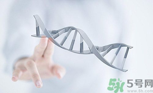 糖尿病會遺傳嗎？糖尿病會遺傳給胎兒嗎？