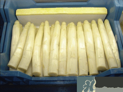吃蘆筍注意事項有哪些？蘆筍有什么藥用功效？