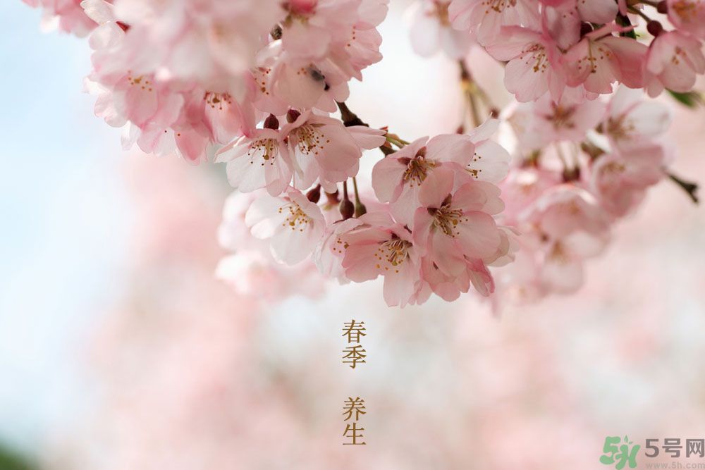 女性春季養(yǎng)生吃什么？女性春季怎么養(yǎng)生？
