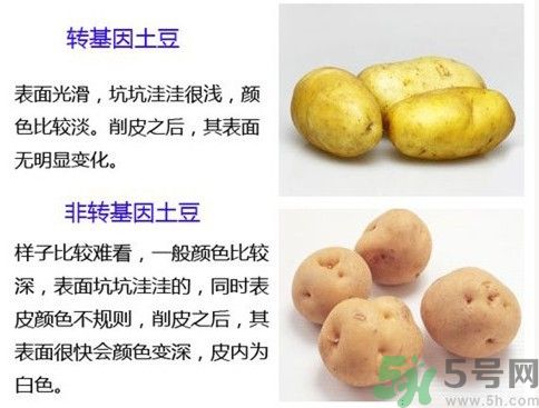 土豆變綠還能吃嗎？土豆變綠有什么危害？