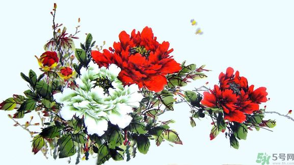 牡丹的花語是什么？牡丹的寓意是什么？
