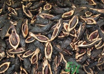 吃檳榔會(huì)致癌嗎？吃檳榔好不好？