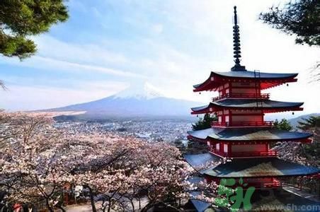 中國(guó)人赴日或免簽是怎么回事？日本有什么好玩的地方？