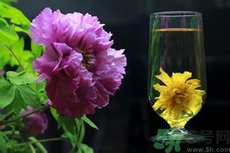 牡丹花可以和菊花一起泡嗎？牡丹花和菊花一起泡茶好嗎？