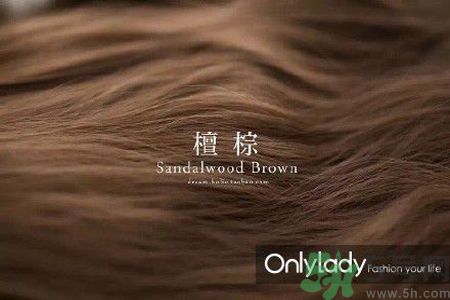 九大染發(fā)色系有哪些？哪種染發(fā)色系最適合女生？