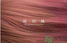 九大色系染發(fā)要怎么選擇？九大色系染發(fā)有什么要求？