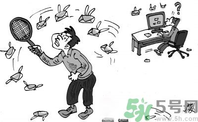 1分鐘被騙334萬 釣魚郵件內(nèi)容是什么？
