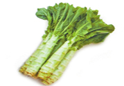 萵筍可以和芹菜一起炒嗎？萵筍和芹菜一起炒好嗎？