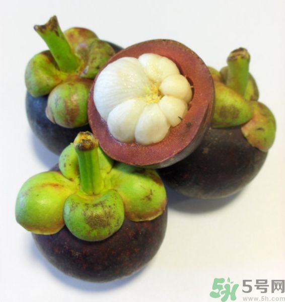 山竹皮可以吃嗎？山竹皮怎樣吃？