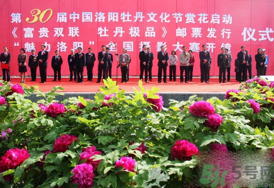洛陽牡丹文化節(jié)活動(dòng)有哪些？洛陽牡丹文化節(jié)門票是多少？