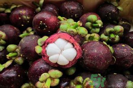 山竹可以和牛奶一起吃嗎？山竹和牛奶一起吃好嗎？