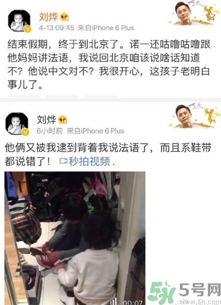 諾一雪梨是誰？為什么叫諾一雪梨？