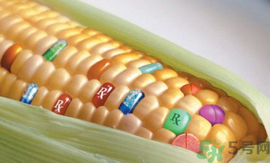 農(nóng)業(yè)部怎樣回應轉基因食品？轉基因的食物有哪些？
