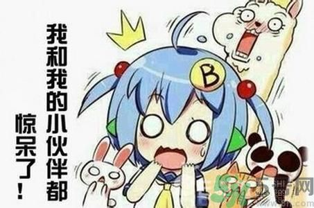 自創(chuàng)職業(yè)逗悶師是做什么的？自創(chuàng)職業(yè)逗悶師工資多少？