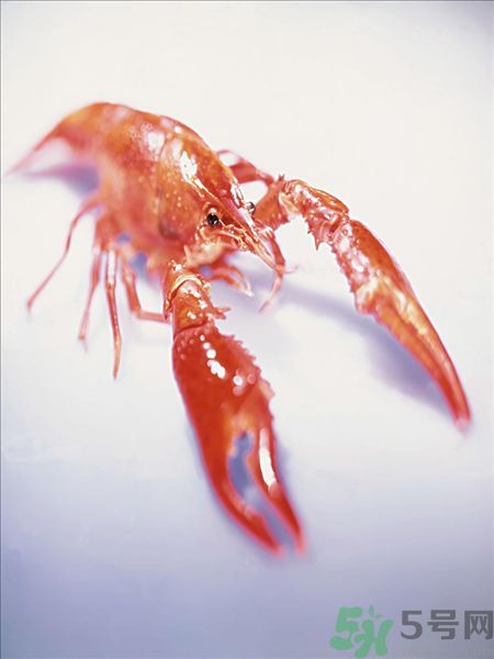 油燜大蝦為什么肉散了？油燜大蝦怎么做肉不散？