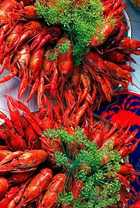 油燜大蝦用的是什么蝦？油燜大蝦用什么蝦最好？