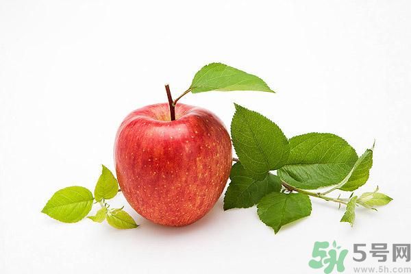 晚上9點(diǎn)以后可以吃蘋果嗎？晚上吃蘋果好不好？
