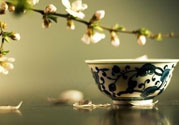 春天喝什么茶養(yǎng)生最好？春天喝茶要注意什么？