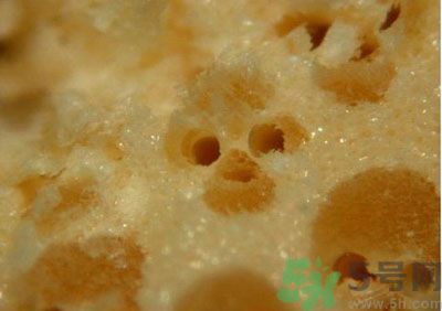 經(jīng)常用一次性筷子可以嗎？一次性筷子有病毒嗎？