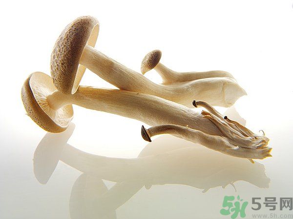 菇類的營養(yǎng)價值有哪些？怎樣挑選優(yōu)質(zhì)的菇類？