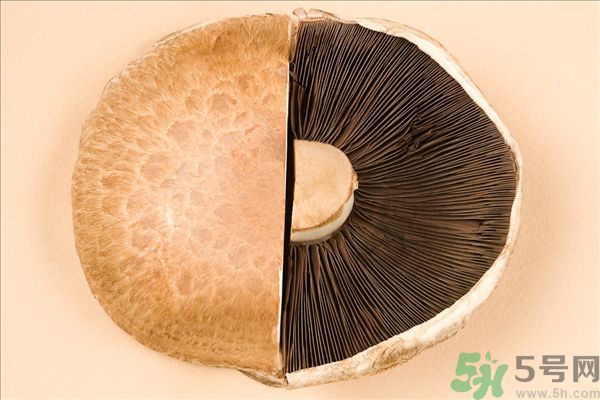 菇類的營養(yǎng)價值有哪些？怎樣挑選優(yōu)質(zhì)的菇類？