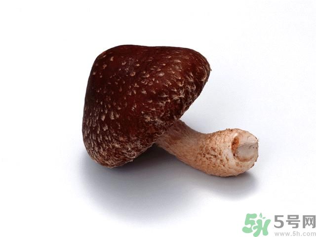 西紅柿發(fā)青可以吃嗎？青西紅柿吃了好不好？