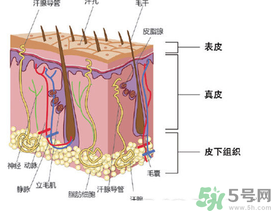 為什么頭發(fā)越來越油？頭發(fā)應該幾天洗一次？
