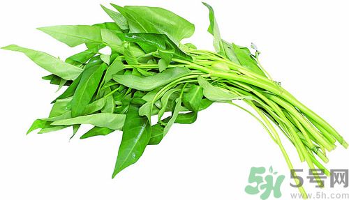空心菜和雞能一起吃嗎？空心菜怎么吃有營(yíng)養(yǎng)？