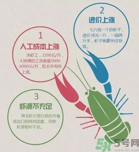 小龍蝦多少錢一斤？吃小龍蝦要注意些什么？