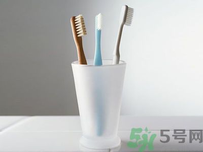 牙齦出血要換牙刷嗎？牙刷多久換一次好？