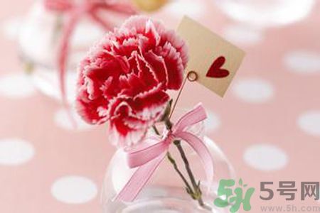 母親節(jié)送什么顏色的康乃馨？母親節(jié)應(yīng)該買什么顏色的康乃馨？