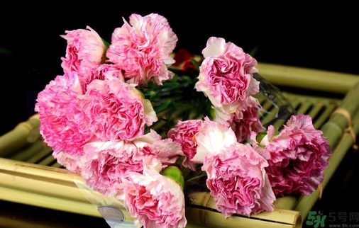 母親節(jié)送什么花好？母親節(jié)應該送什么鮮花？