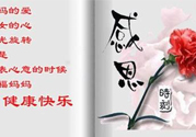 母親節(jié)送什么花好？母親節(jié)應(yīng)該送什么鮮花？