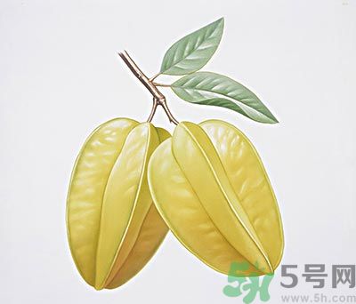 楊桃和什么不能一起吃？楊桃不能與什么同食？