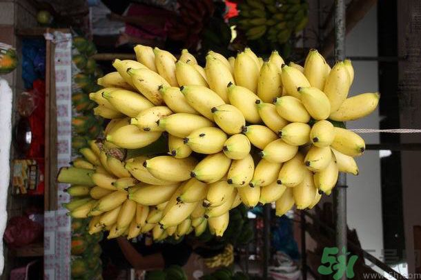 孕婦可以吃牛奶蕉嗎？孕婦吃牛奶蕉好嗎？