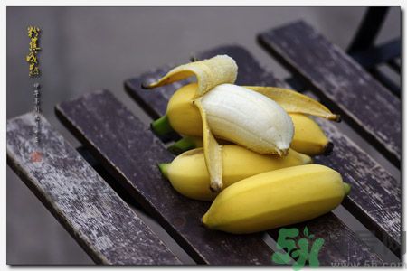什么是牛奶蕉？牛奶蕉好吃嗎？