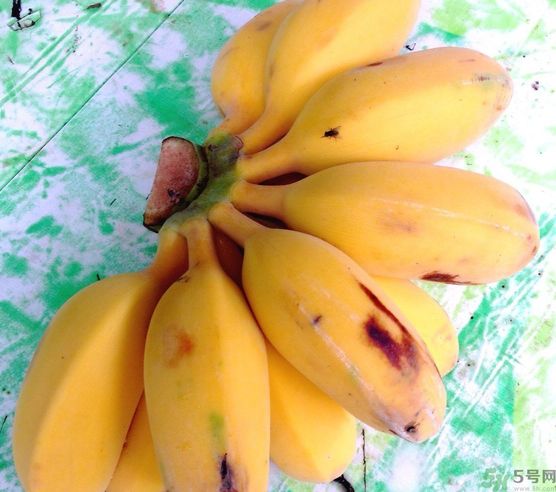 什么是牛奶蕉？牛奶蕉好吃嗎？