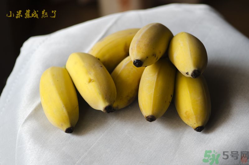 牛奶蕉可以和蘋(píng)果一起吃嗎？牛奶蕉和蘋(píng)果一起吃好嗎？
