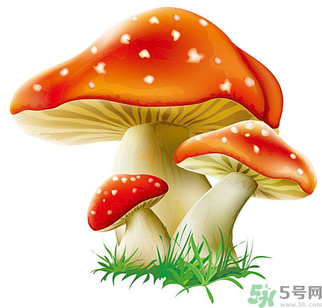 吃蘑菇可以喝酒嗎？吃蘑菇喝酒會(huì)中毒嗎？