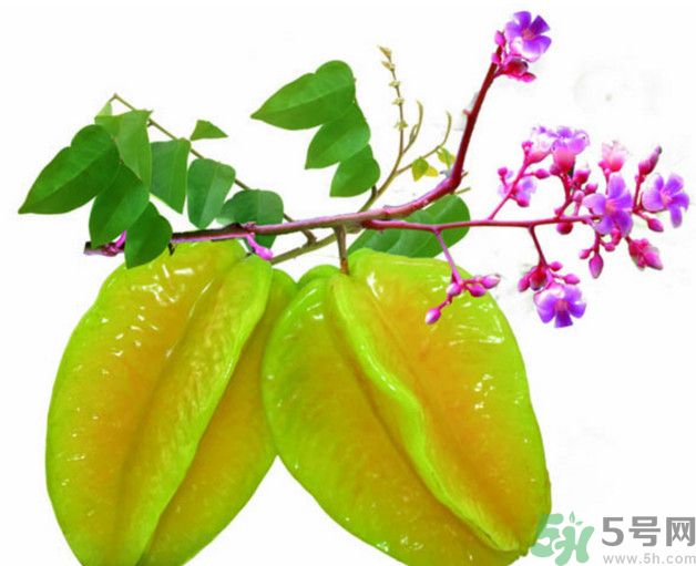 慢性腎炎可以吃楊桃嗎？慢性腎炎吃楊桃好嗎？