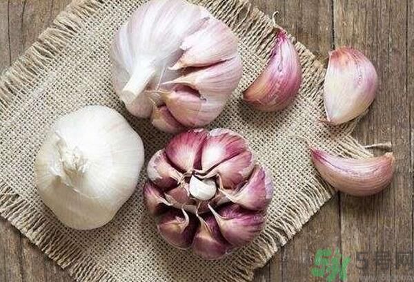 提高記憶力要吃什么食物？吃什么食物提高記憶力？